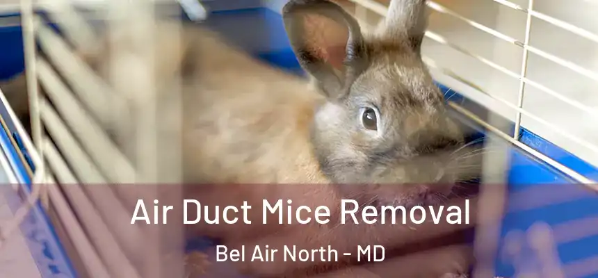 Air Duct Mice Removal Bel Air North - MD