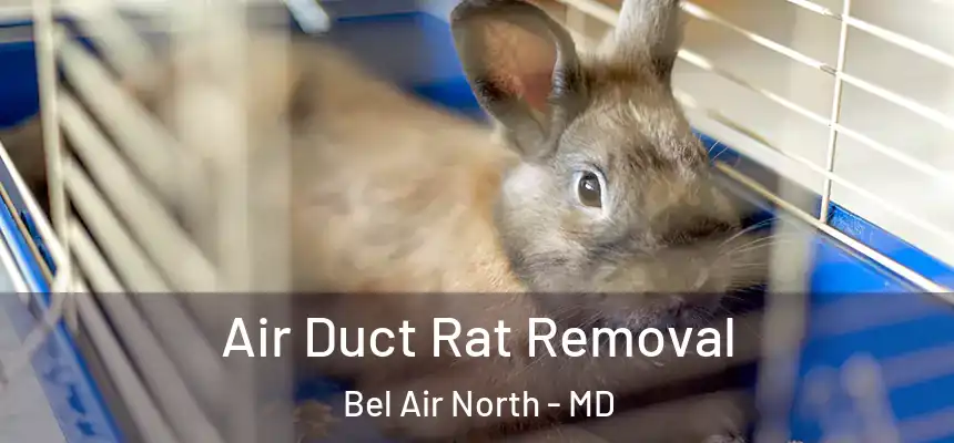  Air Duct Rat Removal Bel Air North - MD