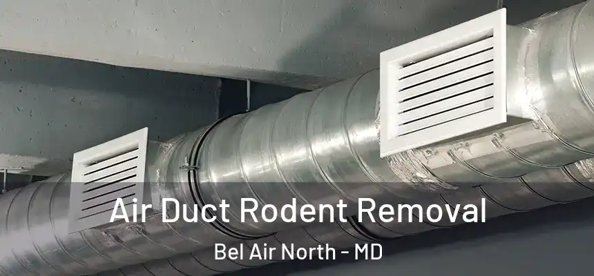  Air Duct Rodent Removal Bel Air North - MD