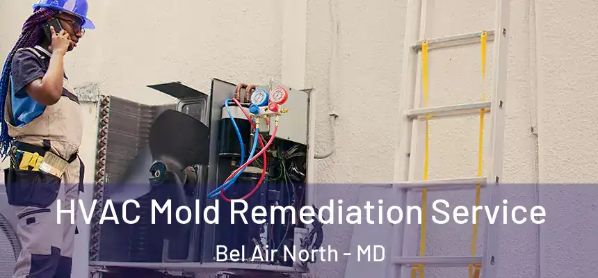  HVAC Mold Remediation Service Bel Air North - MD