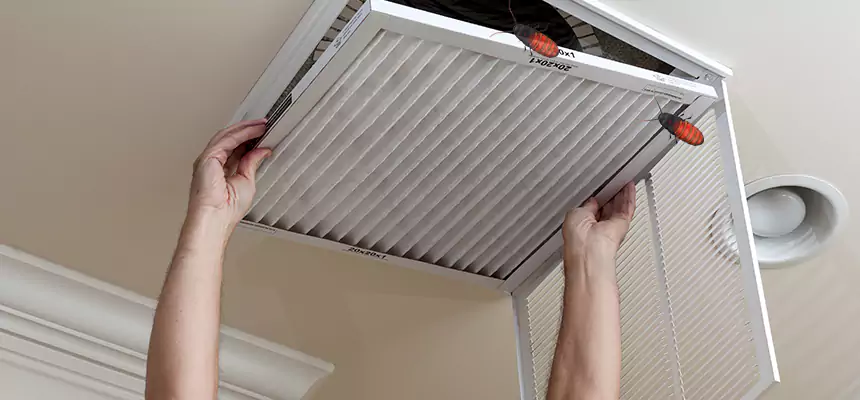 Preventive Cockroach-Proofing for Ducts in Bel Air North
