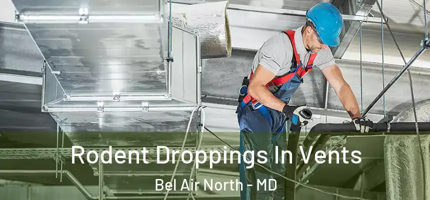  Rodent Droppings In Vents Bel Air North - MD