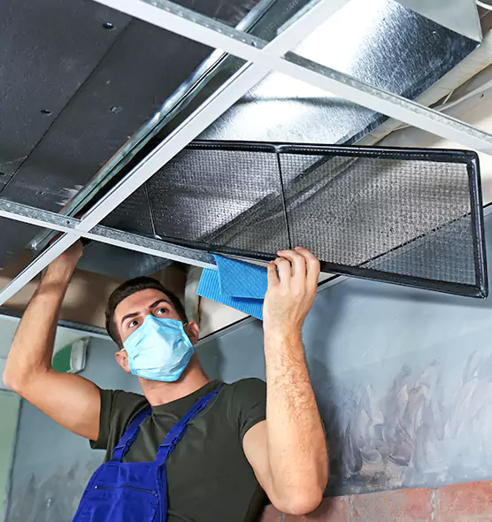 About Air Duct Bacteria Removal in Bel Air North
