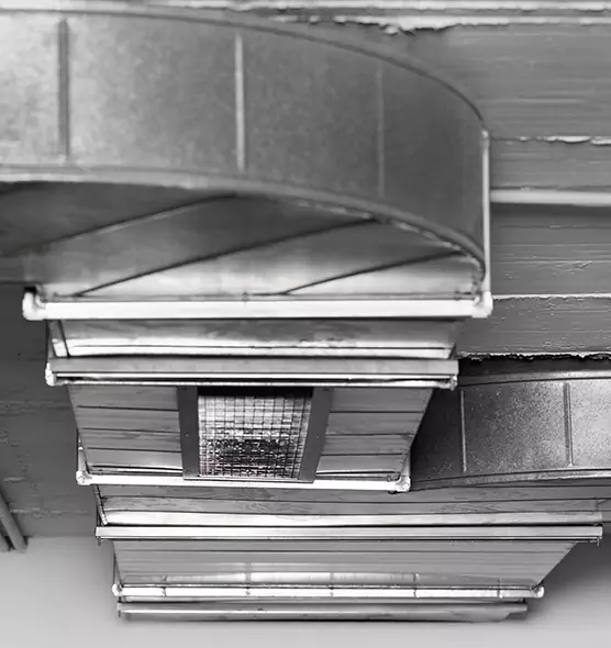 Professional Air Duct Pest Removal in Bel Air North, MD