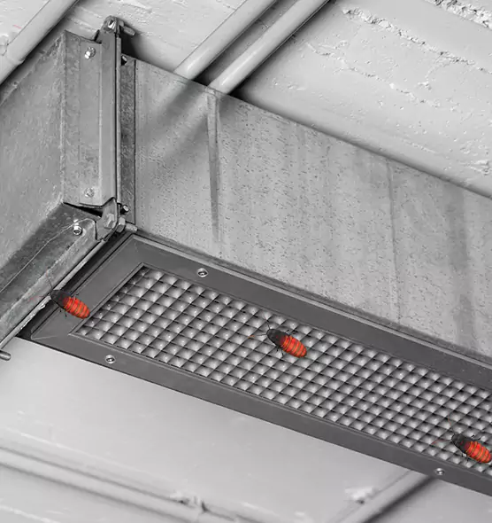 Affordable Insect Removal from Air Ducts in Bel Air North, MD