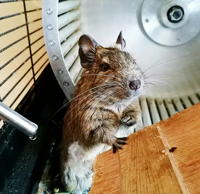 Why Homeowners & Businesses Trust Us Bel Air North, MD